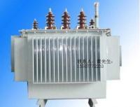 安華麗 全球油浸式變壓器領(lǐng)域的卓越企業(yè)