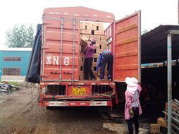 供應順風無煙木炭與機制木炭廠尋源指南